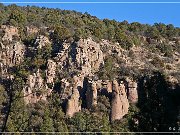 NM 15