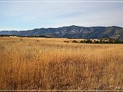NM 159