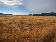 NM 159