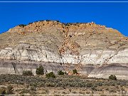 NM 197