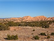 NM 503