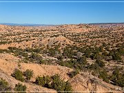 NM 503