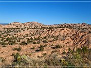 NM 503