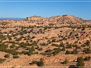 NM 503