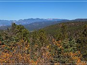 NM 518