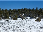 Chain of Crater Road
