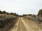 CR 2772