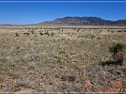NM 349