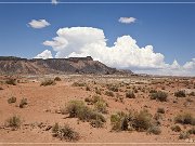 Middle Desert