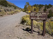 Forest Road 206