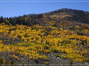 Cathedral Valley Rd - Fall Foliage