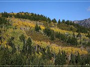 Alpine Loop