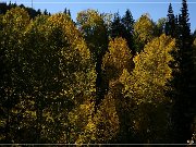 Alpine Loop