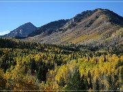 Alpine Loop