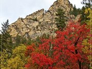 Alpine Loop