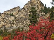 Alpine Loop