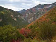 Alpine Loop