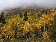 Alpine Loop
