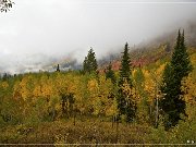 Alpine Loop