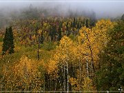 Alpine Loop