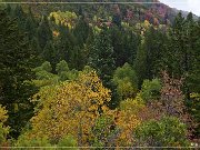 Alpine Loop