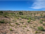 Cottonwood Wash Road