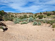 Cottonwood Wash Road