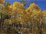 sheep_creek_geological-loop_03