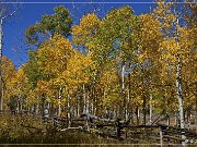 sheep_creek_geological-loop_07