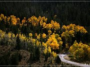 sheep_creek_geological-loop_13