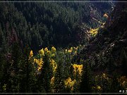 sheep_creek_geological-loop_29