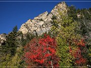 Alpine Loop Scenic Byway