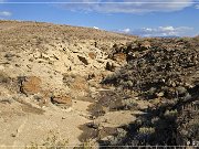 Vernal Concretions