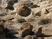Vernal Concretions