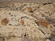 Vernal Concretions