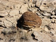 Vernal Concretions
