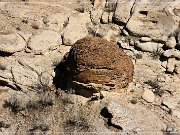 vernal_concretions10