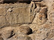 Vernal Concretions
