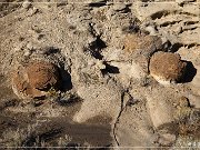 Vernal Concretions