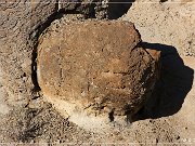 Vernal Concretions