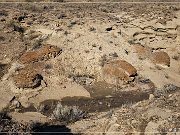Vernal Concretions