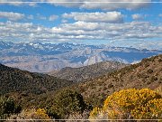 Ancient Bristlecone Pine Forest