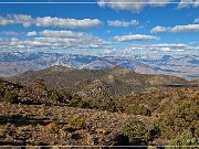Ancient Bristlecone Pine Forest