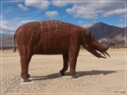 Borrego Springs Metal Sculptures
