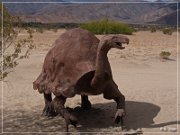 Borrego Springs Metal Sculptures