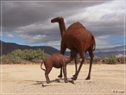 Borrego Springs Metal Sculptures