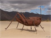 Borrego Springs Metal Sculptures