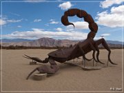 Borrego Springs Metal Sculptures