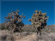 burns_canyon_rd_04