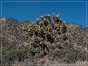 burns_canyon_rd_06